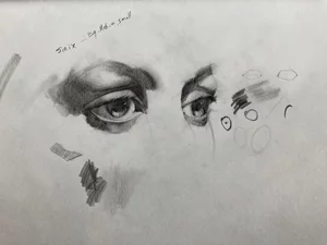 Features Eyes 2