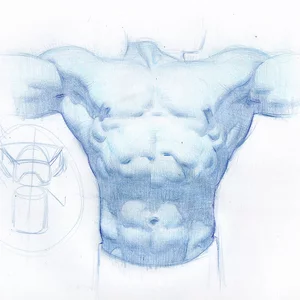 Torso Study Colored Pencil